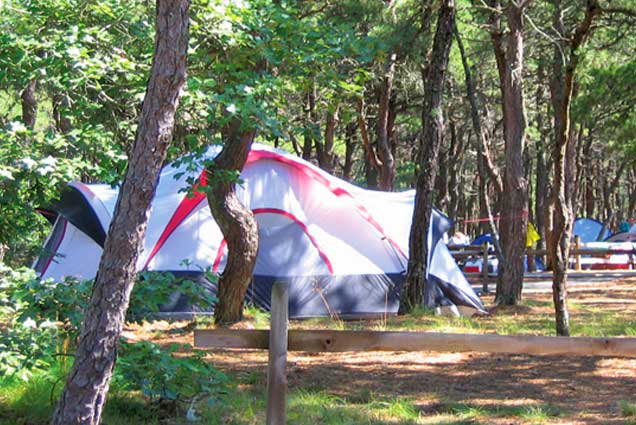 tent rental set up